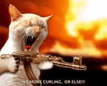 Cat Gun GIF - Cat Gun Firing GIFs