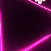 a person with a flower on their head is standing in front of a pink light .