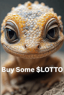a picture of a lizard with the words buy some $ lotto on it