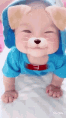Baby Filter GIF - Baby Filter Puppy GIFs