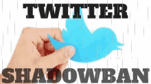 Shadow Banning Twitter Ban GIF - Shadow Banning Twitter Ban Twitter Shadow Banned GIFs
