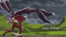 robin animes is the name of the company shown in this video