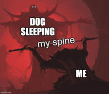 a poster that says dog sleeping my spine and me