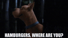 Scooby Doo Hamburgers Where Are You GIF - Scooby Doo Hamburgers Where Are You Burgers GIFs