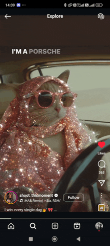 a cat wearing sunglasses and a scarf is sitting in a car with the caption " i 'm a porsche "