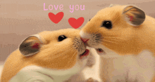 I Love You Hamster Couple GIF - I Love You Hamster Couple Aww GIFs