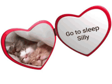 Go To Sleep Silly GIF