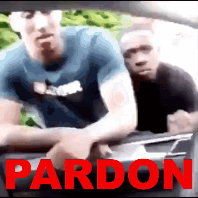 Pardon Excuse Me GIF - Pardon Excuse Me F Unny GIFs