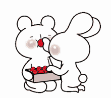 mangia mangiare eat chew strawberry