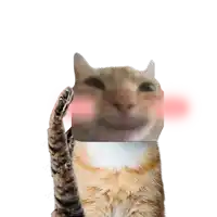 a cat 's face is obscured by a cube and has a pink cheek