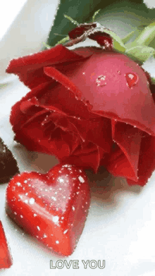 Heart Rose GIF - Heart Rose GIFs