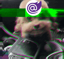 a picture of a dog with a purple and white circle with the letter a on it