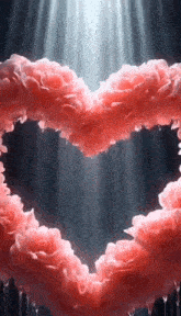 a heart made of pink roses on a black background