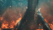 a close up of a monster laying on the ground with fire behind it