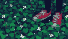 Kl Flowers GIF - Kl Flowers Shoes GIFs
