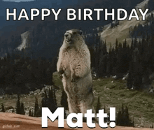 a groundhog is standing on its hind legs with the words happy birthday matt