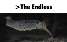 the endless opabinia halo infinite unleashed when the endless is unleashed