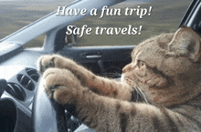 Safe Travels Have A Fun Trip GIF - Safe Travels Have A Fun Trip Cat Safe Travels GIFs
