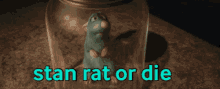Rat Remy GIF - Rat Remy Stan Rator Die GIFs
