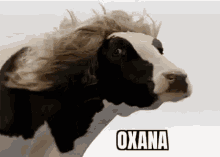 Oxana GIF