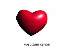 a picture of a boy and a robot with the words yorullum canon below
