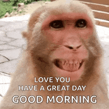 Bigsmile Monkey GIF - Bigsmile Monkey Smiling GIFs