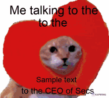 Me Talking To The Ceo Of Secs Sample Text Heartcat GIF - Me Talking To The Ceo Of Secs Sample Text Heartcat GIFs