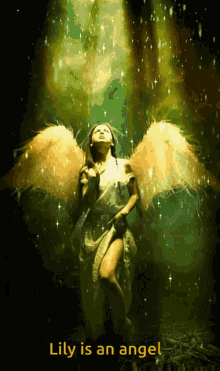 Lily Angel Angel GIF - Lily Angel Lily Angel GIFs