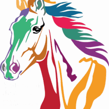 Yuma Horses GIF - Yuma Horses Horse GIFs