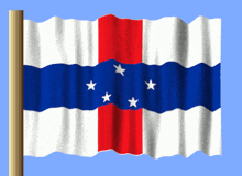 a flag with red white and blue stripes and stars on it