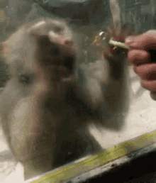 Monkey Disappointed GIF - Monkey Disappointed Sad GIFs
