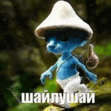 шайлушай Smurf Cat GIF - шайлушай Smurf Cat Meme GIFs