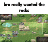 a screenshot of a video game with the words " bro really wanted the rocks "
