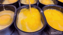 a bunch of bowls filled with yellow liquid with the words made in animotica on the bottom