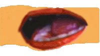 a close up of a woman 's mouth with red lips and purple tongue .