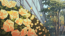 yellow roses windy garden petals