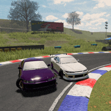 a purple and a white car are racing on a race track