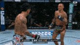 two men are fighting in a ufc ring with a bud light advertisement in the background