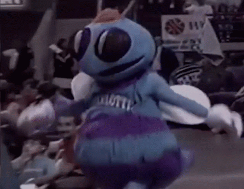 POLL: Do The Charlotte Hornets Have to Have Hugo & The Honeybees?