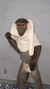 a monkey wearing a diaper and a white shirt is standing on a rug