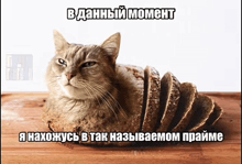 a cat is laying on top of a loaf of bread with a caption in russian