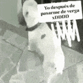 a dog with a sign that says yo después de pasarme de vergo