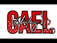 Gael Valdez GIF - Gael Valdez GIFs