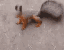 Good Afternoon GIF - Good Afternoon Goodmorning GIFs