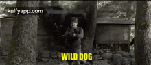 Nagarjuna'S Wild Dog Trailer.Gif GIF - Nagarjuna'S Wild Dog Trailer Wild Dog Nagarjuna GIFs