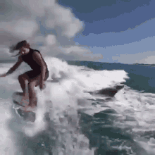 dolphin surfboarding