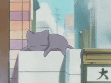 Azumanga Cat GIF - Azumanga Cat Azumanga Daioh GIFs