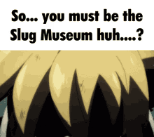 Slug Museum Blaze Museum GIF - Slug Museum Blaze Museum Roadkill Museum GIFs