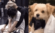 Vmin Vmin Puppies Cuddling GIF - Vmin Vmin Puppies Cuddling Vminkookgf GIFs