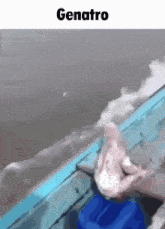 a person is holding a blue object in front of a body of water with the word genatro written above them